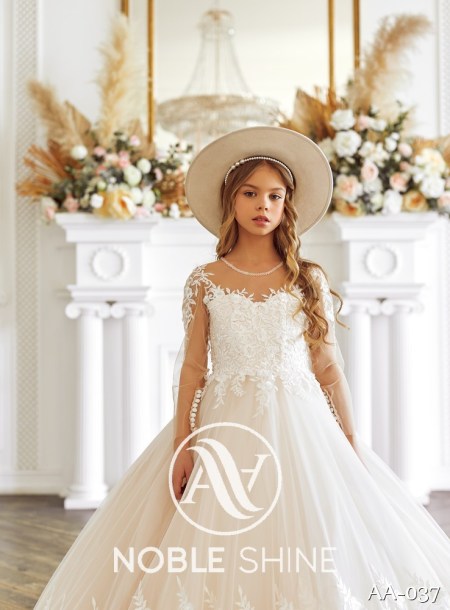 Dress AA-037 from the Shine Bright collection by Noble Shine
