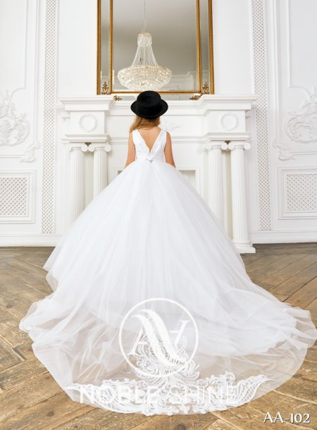 Dress AA-102 from the Shine Bright collection by Noble Shine