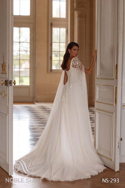 Dress NS-293 from the Jadore collection by Noble Shine